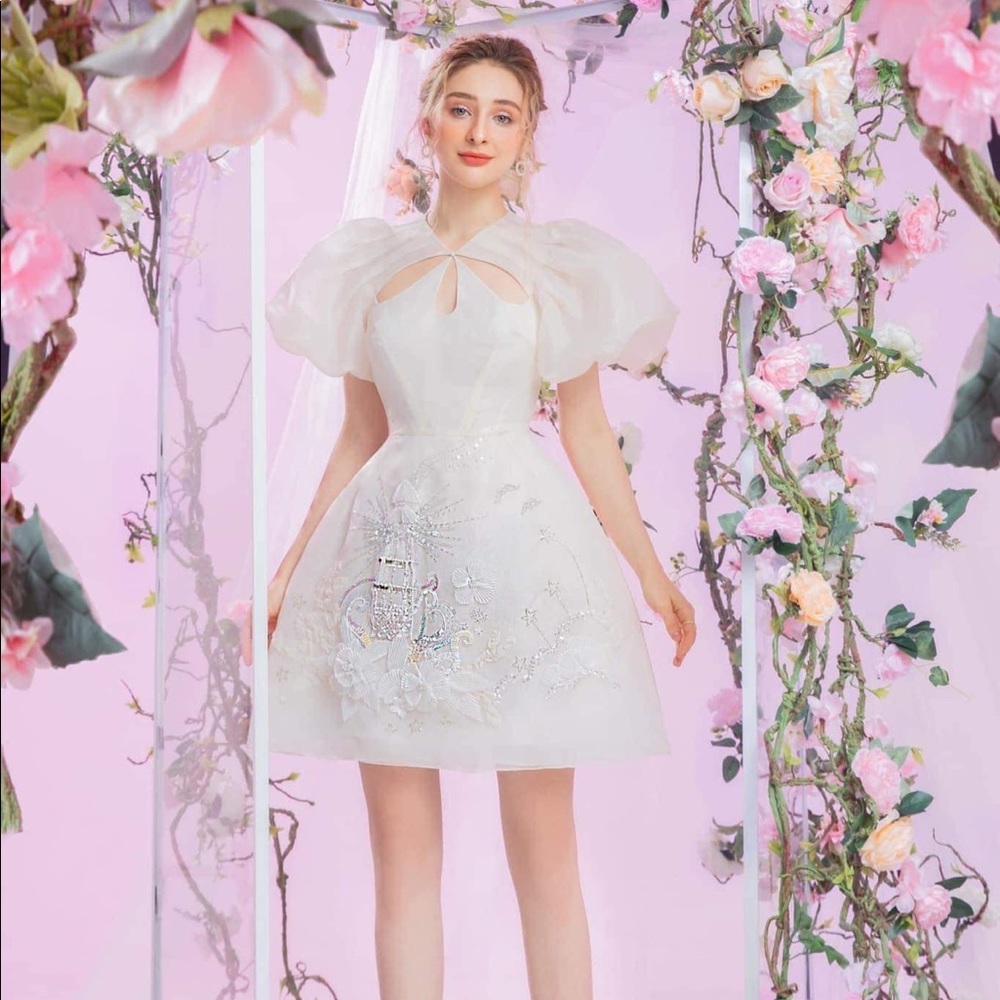 ❌SOLD❌White organza dress with embroidery